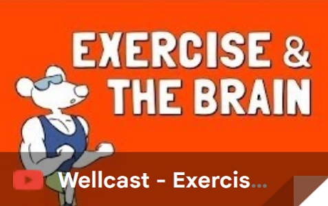 EXERCICE & THE BRAIN